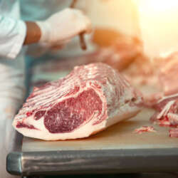 Butcher cutting wagyu beef in the Slaughterhouse
